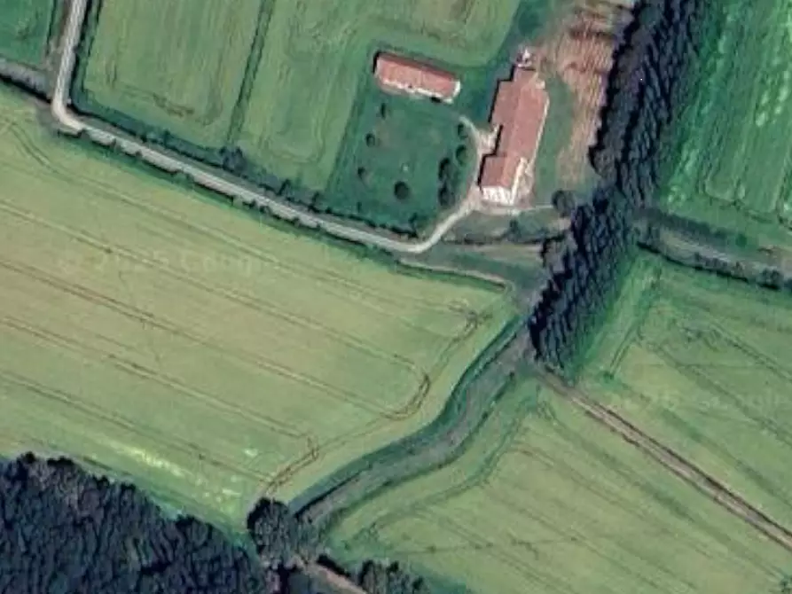 Immagine 14 di Terreno agricolo in vendita  in Via Gropello Cairoli a Gropello Cairoli