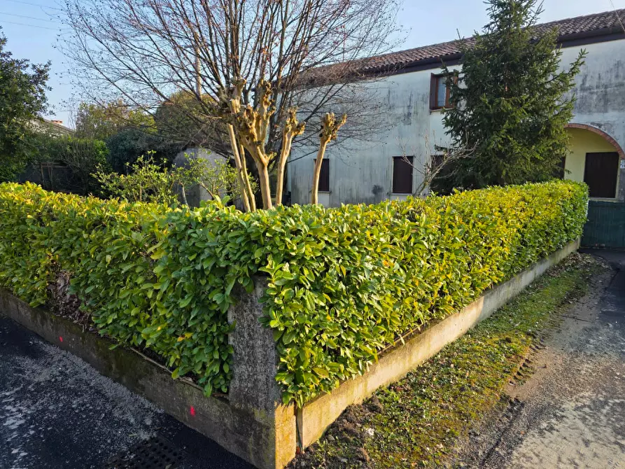 Immagine 3 di Porzione di casa in vendita  in Via Le Basse a Oderzo
