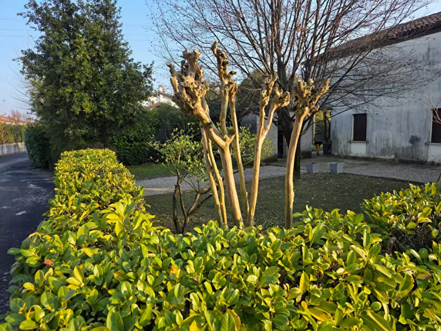 Immagine 5 di Porzione di casa in vendita  in Via Le Basse a Oderzo