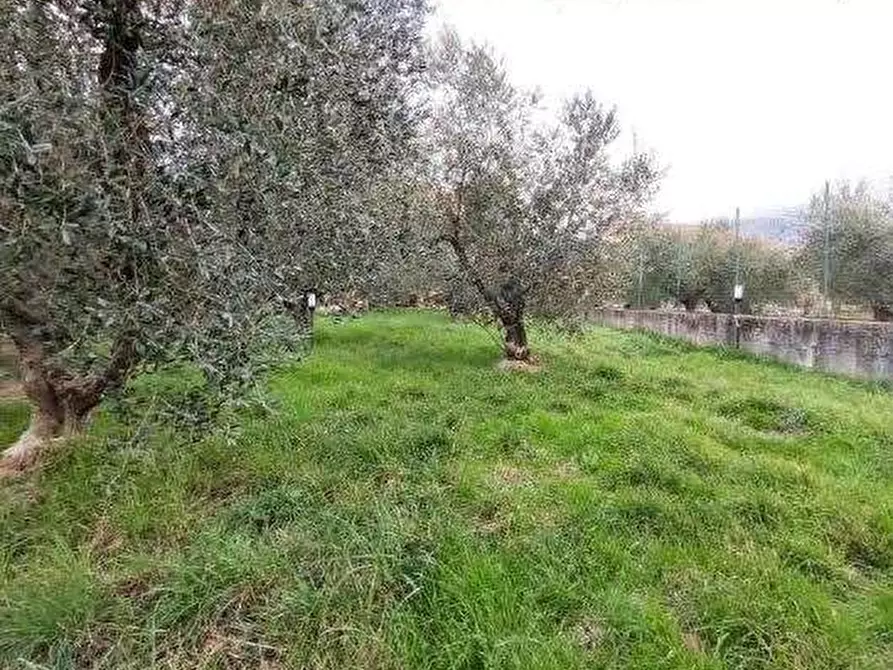 Immagine 12 di Casa indipendente in vendita  in Corso 25 Archi a Montaquila