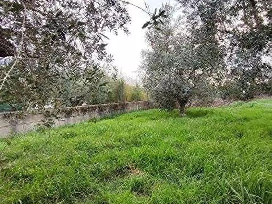 Immagine 13 di Casa indipendente in vendita  in Corso 25 Archi a Montaquila