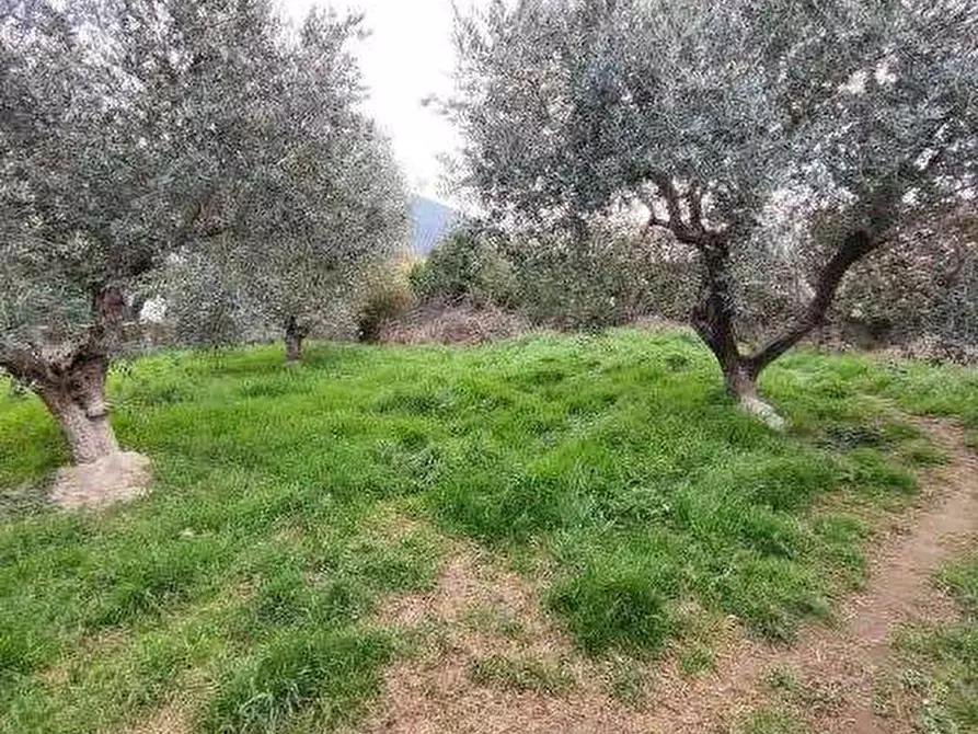 Immagine 14 di Casa indipendente in vendita  in Corso 25 Archi a Montaquila