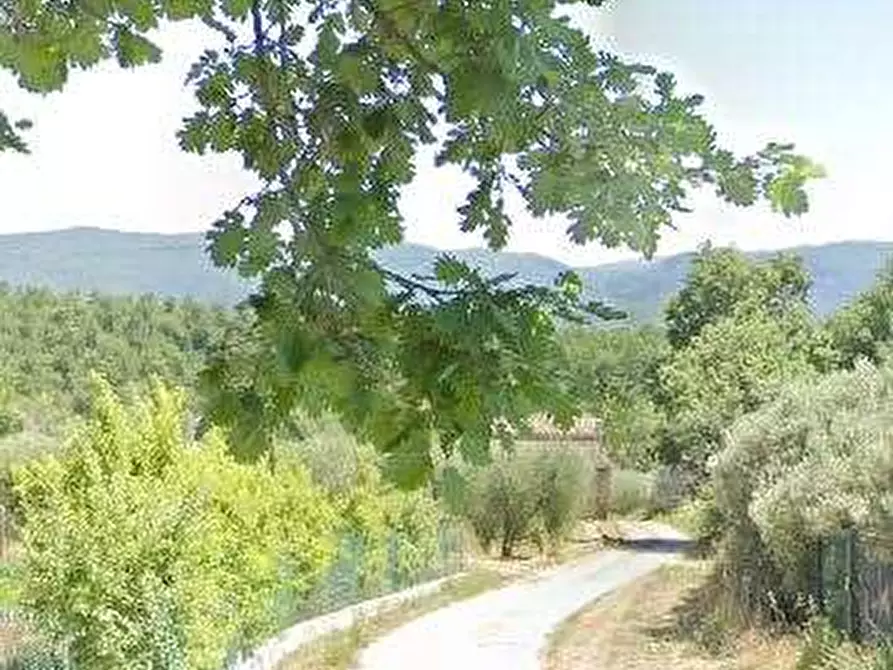 Immagine 3 di Villa in vendita  in Località Campora a Monteroduni
