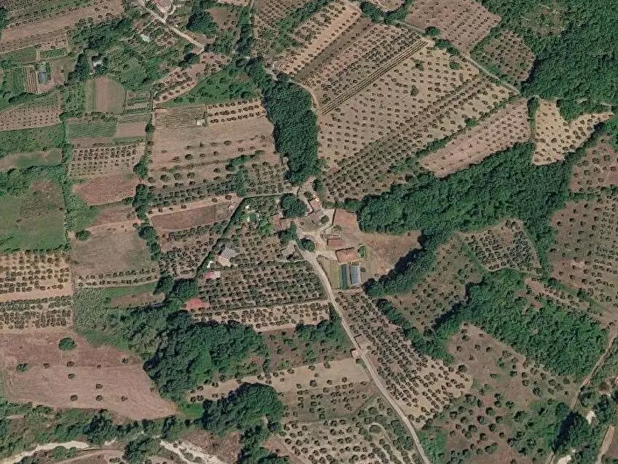Immagine 6 di Villa in vendita  in Località Campora a Monteroduni
