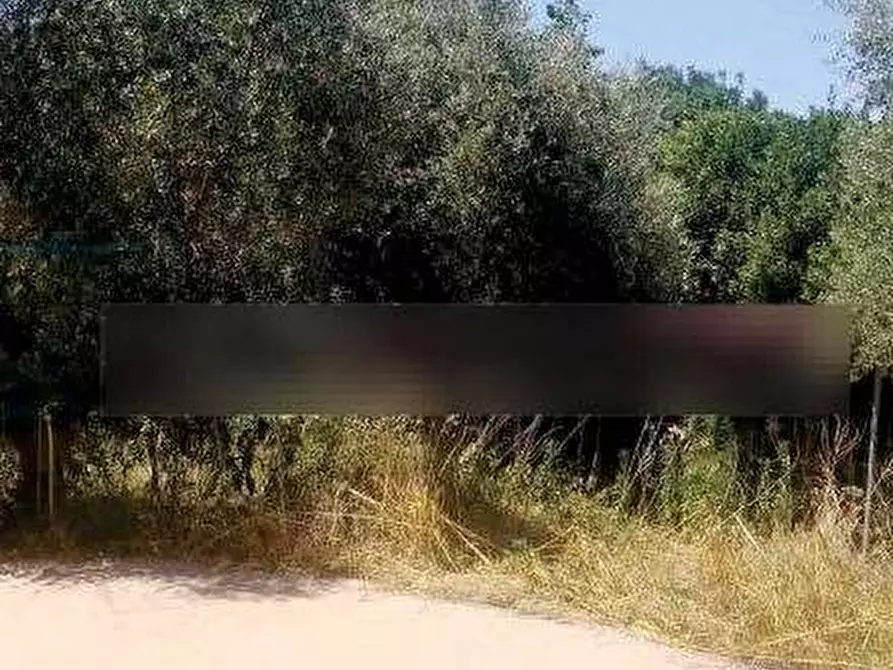 Immagine 12 di Villa in vendita  in Località Campora a Monteroduni