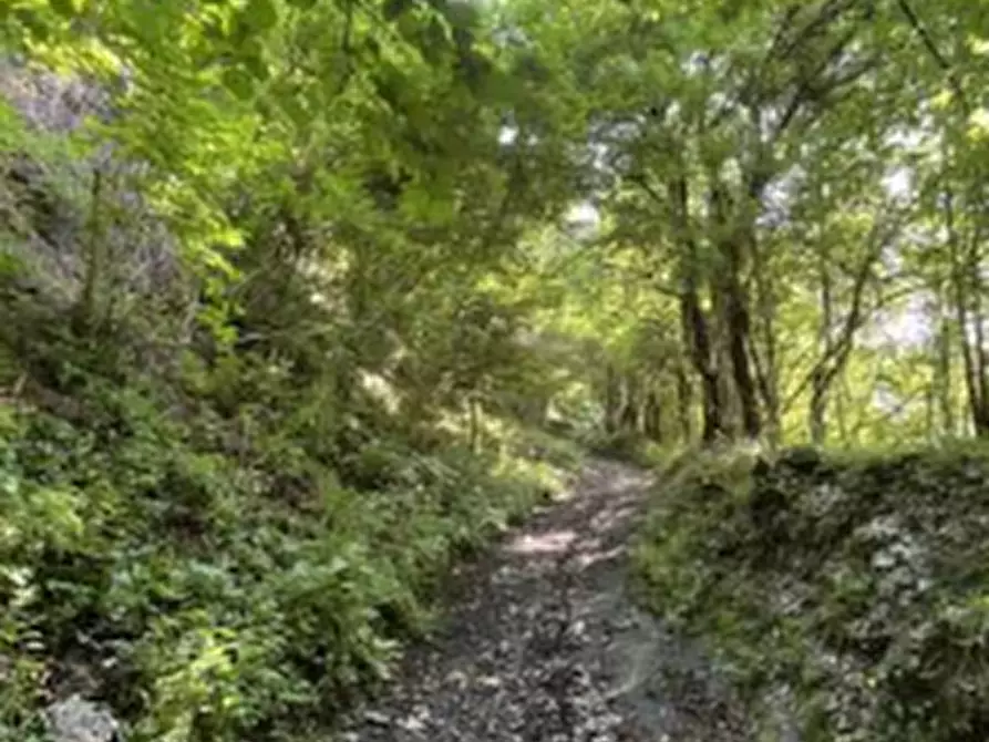 Immagine 1 di Terreno agricolo in vendita  in Località Pianezze a Azzone