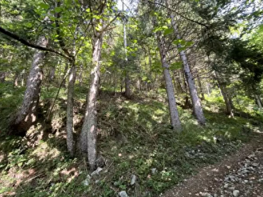 Immagine 2 di Terreno agricolo in vendita  in Località Pianezze a Azzone