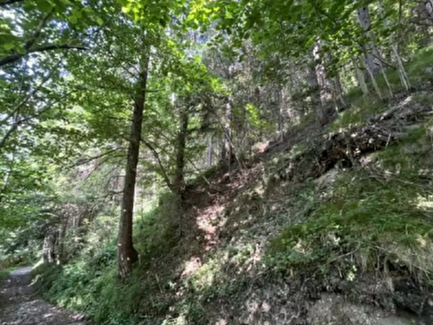 Immagine 3 di Terreno agricolo in vendita  in Località Pianezze a Azzone
