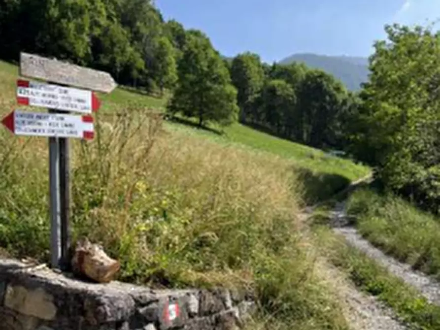 Immagine 4 di Terreno agricolo in vendita  in Località Pianezze a Azzone