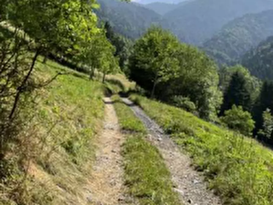 Immagine 5 di Terreno agricolo in vendita  in Località Pianezze a Azzone