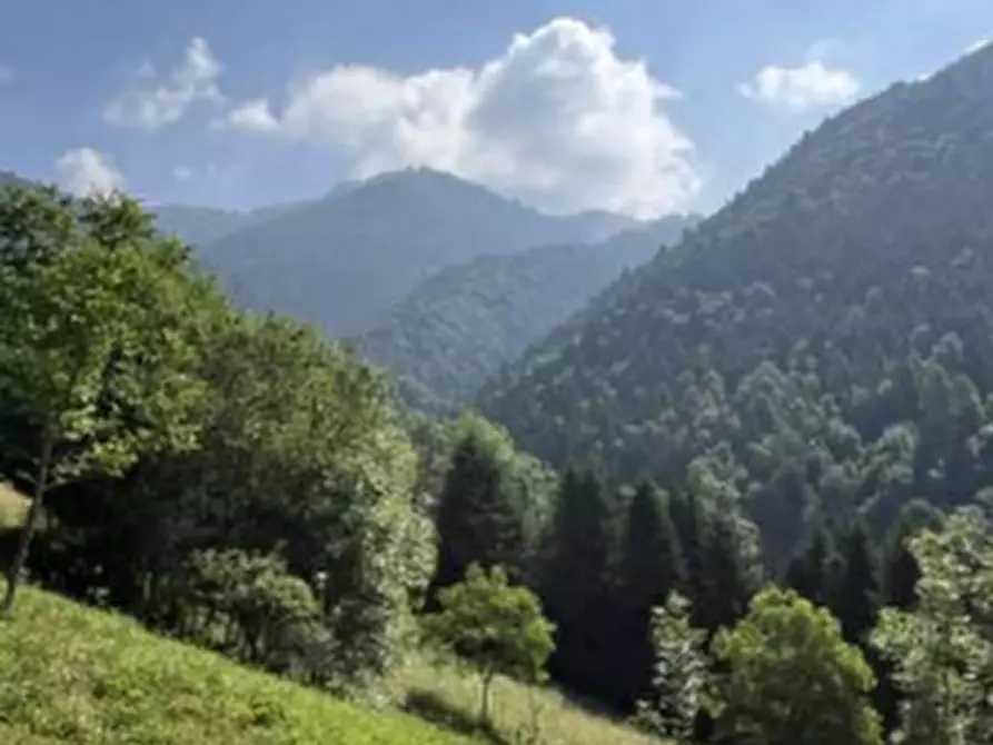 Immagine 7 di Terreno agricolo in vendita  in Località Pianezze a Azzone
