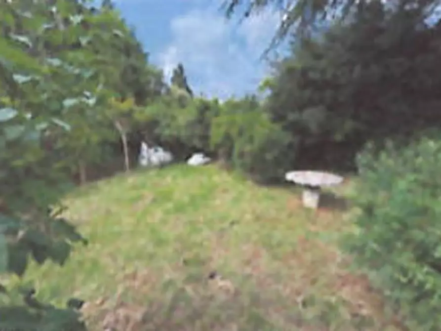 Immagine 7 di Appartamento in vendita  in Località Contea  a Rufina