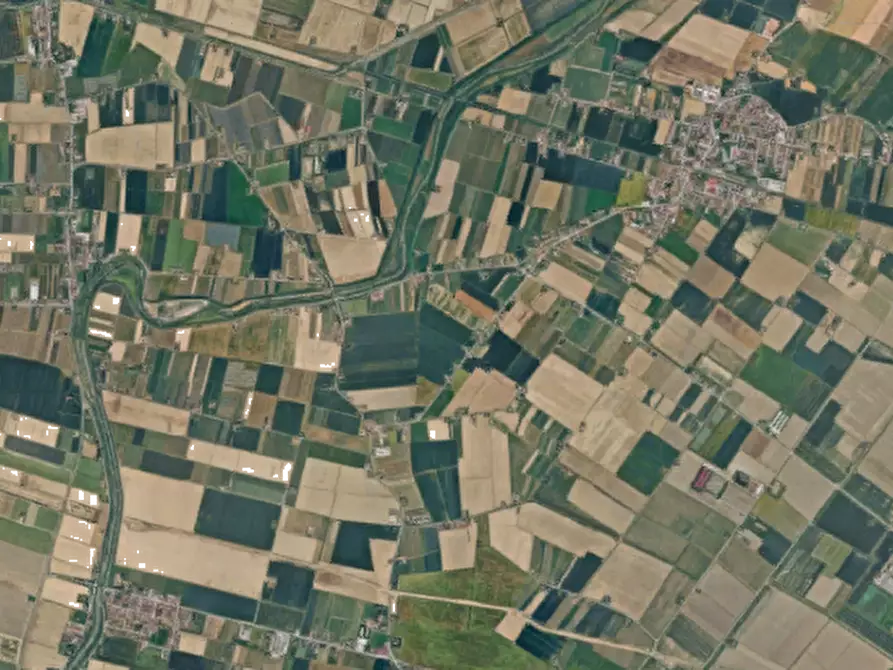 Immagine 2 di Terreno agricolo in vendita  in Via Chiesuola a Russi