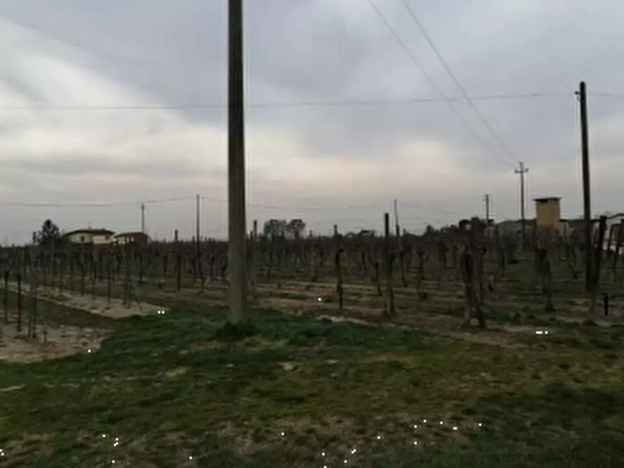 Immagine 3 di Terreno agricolo in vendita  in Via Chiesuola a Russi