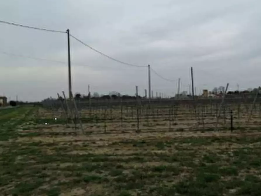 Immagine 4 di Terreno agricolo in vendita  in Via Chiesuola a Russi