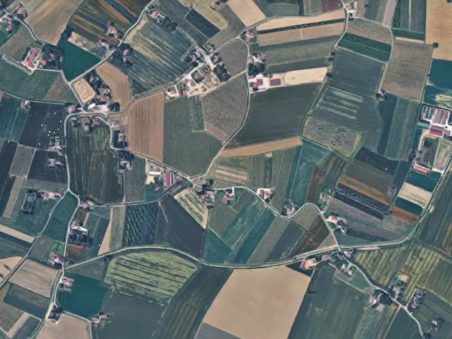 Immagine 6 di Terreno agricolo in vendita  in Via Chiesuola a Russi