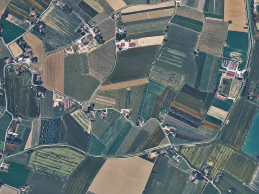 Immagine 8 di Terreno agricolo in vendita  in Via Chiesuola a Russi