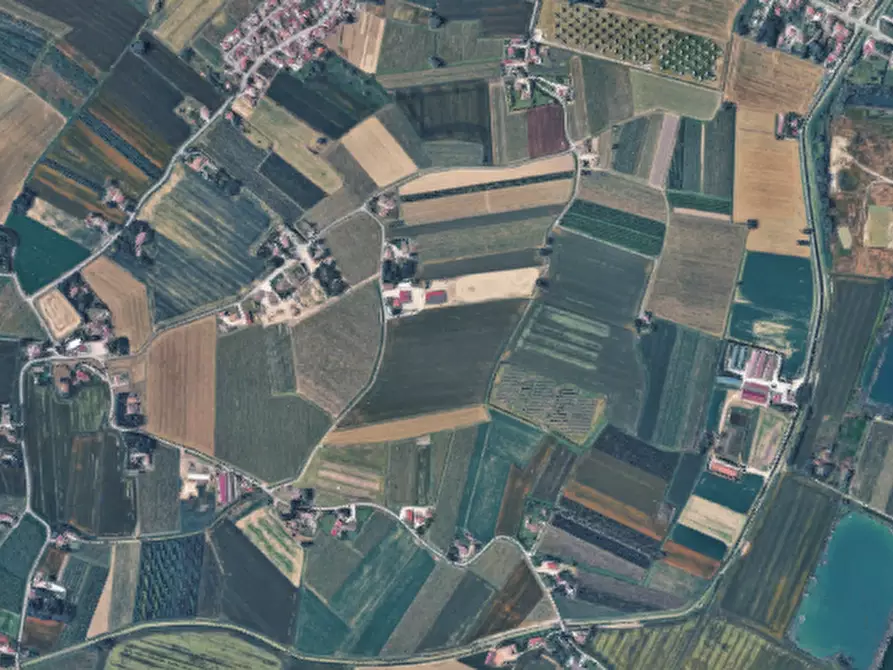 Immagine 9 di Terreno agricolo in vendita  in Via Chiesuola a Russi