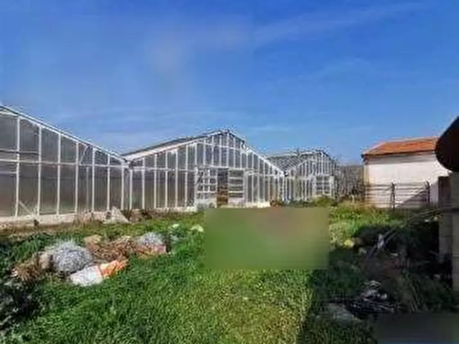 Immagine 3 di Terreno agricolo in vendita  in Loc. Rio Becciu a Decimoputzu
