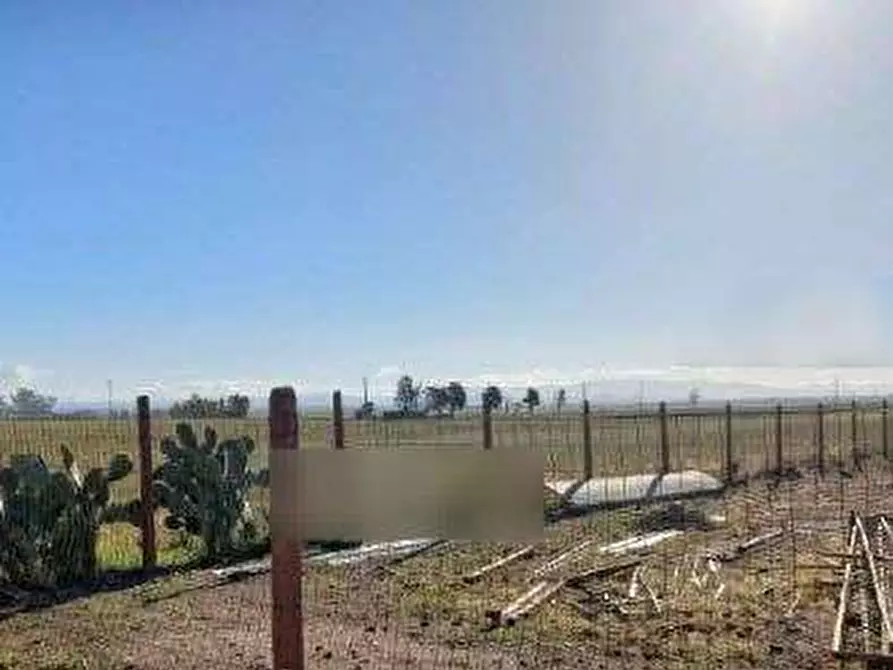 Immagine 2 di Terreno agricolo in vendita  in località Terramaini  a Decimoputzu