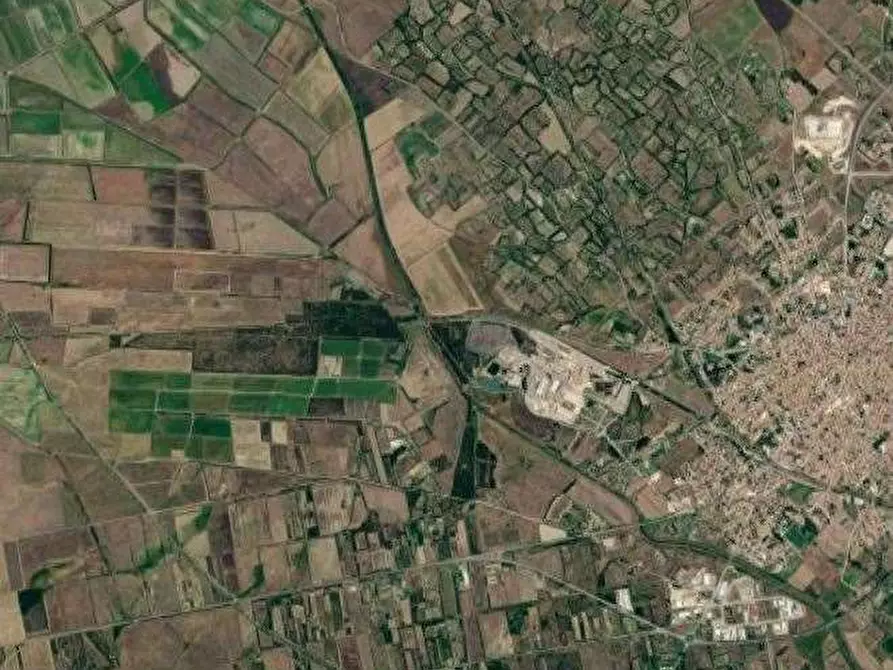 Immagine 3 di Terreno agricolo in vendita  in Località Piscina Linu a San Gavino Monreale