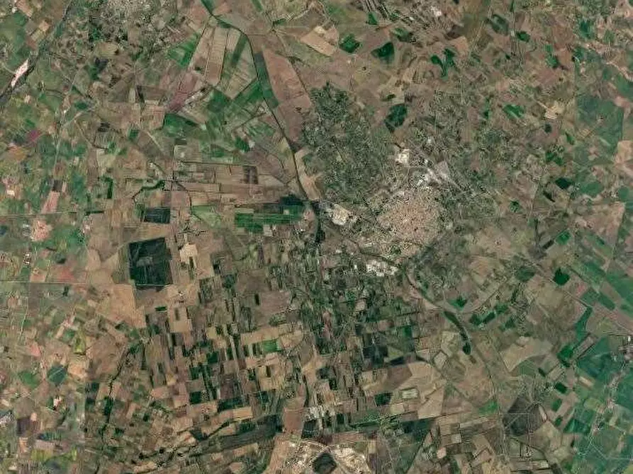 Immagine 4 di Terreno agricolo in vendita  in Località Piscina Linu a San Gavino Monreale