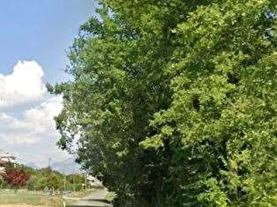Immagine 9 di Casa indipendente in vendita  in contrada Felci a Pignataro Interamna