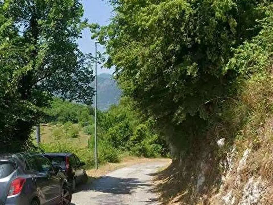 Immagine 3 di Terreno agricolo in vendita  in Via Vallecupella a Vallerotonda
