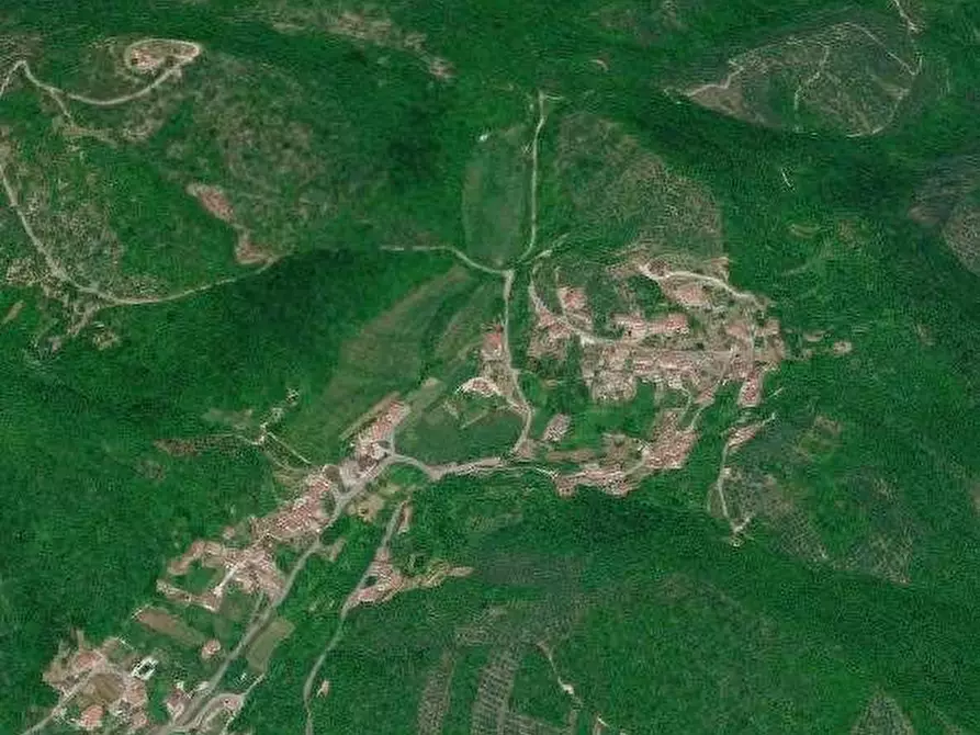 Immagine 4 di Terreno agricolo in vendita  in Via Vallecupella a Vallerotonda