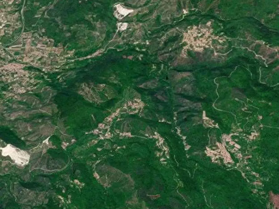 Immagine 5 di Terreno agricolo in vendita  in Via Vallecupella a Vallerotonda