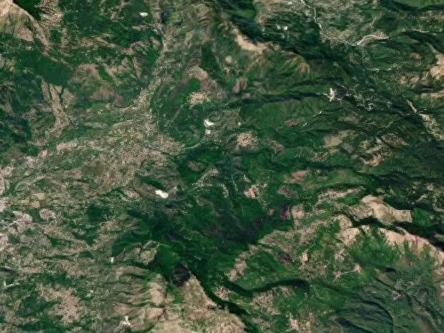 Immagine 6 di Terreno agricolo in vendita  in Via Vallecupella a Vallerotonda
