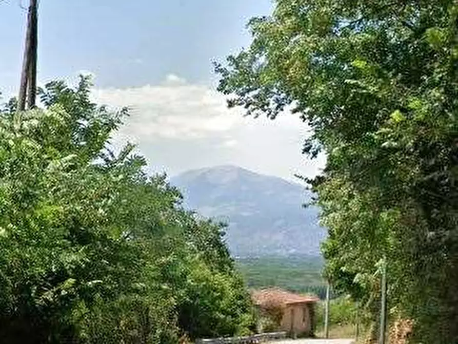 Immagine 7 di Porzione di casa in vendita  in Via S. Rocco Esterno a Sant'ambrogio Sul Garigliano
