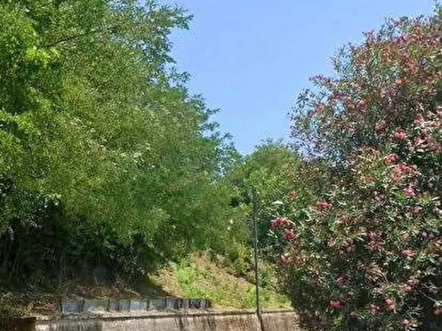 Immagine 8 di Porzione di casa in vendita  in Via S. Rocco Esterno a Sant'ambrogio Sul Garigliano
