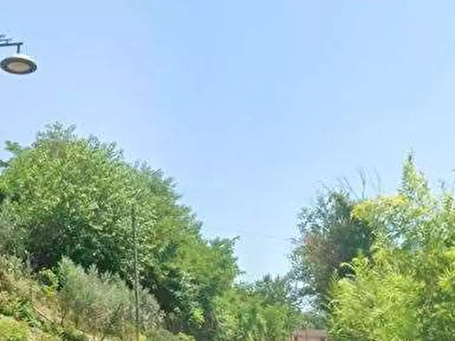 Immagine 9 di Porzione di casa in vendita  in Via S. Rocco Esterno a Sant'ambrogio Sul Garigliano