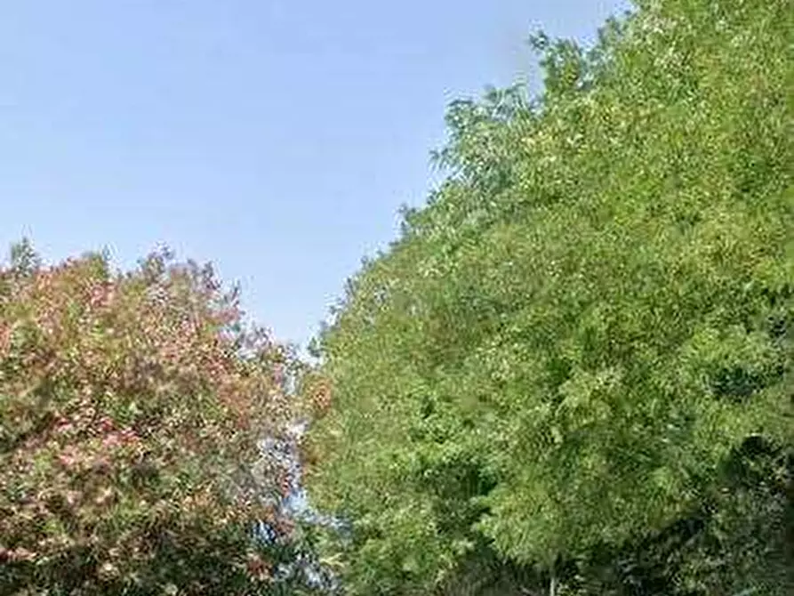 Immagine 10 di Porzione di casa in vendita  in Via S. Rocco Esterno a Sant'ambrogio Sul Garigliano