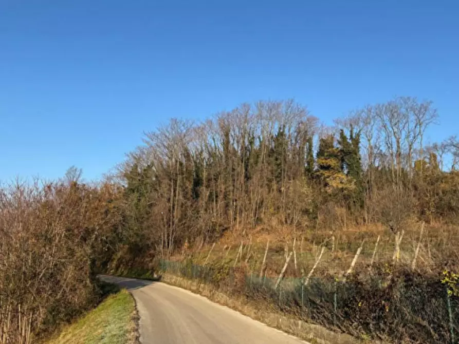 Immagine 2 di Terreno agricolo in vendita  in Via Tommasetto a Gambugliano