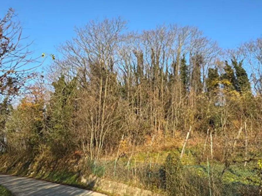 Immagine 3 di Terreno agricolo in vendita  in Via Tommasetto a Gambugliano