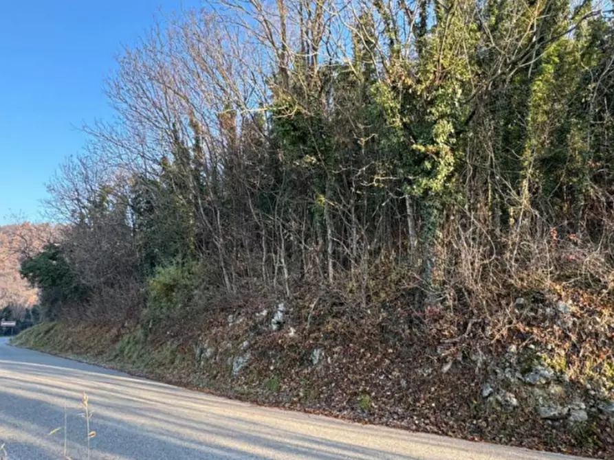 Immagine 4 di Terreno agricolo in vendita  in Via Tommasetto a Gambugliano