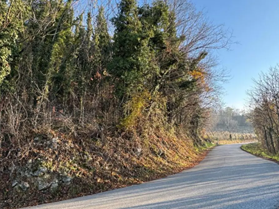 Immagine 5 di Terreno agricolo in vendita  in Via Tommasetto a Gambugliano