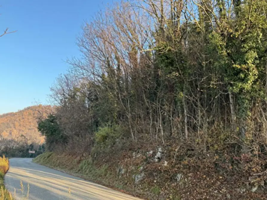 Immagine 6 di Terreno agricolo in vendita  in Via Tommasetto a Gambugliano