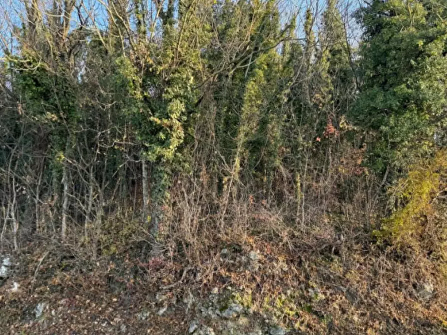 Immagine 7 di Terreno agricolo in vendita  in Via Tommasetto a Gambugliano