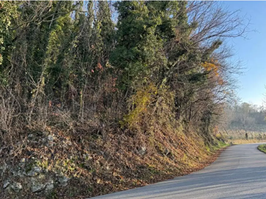 Immagine 8 di Terreno agricolo in vendita  in Via Tommasetto a Gambugliano