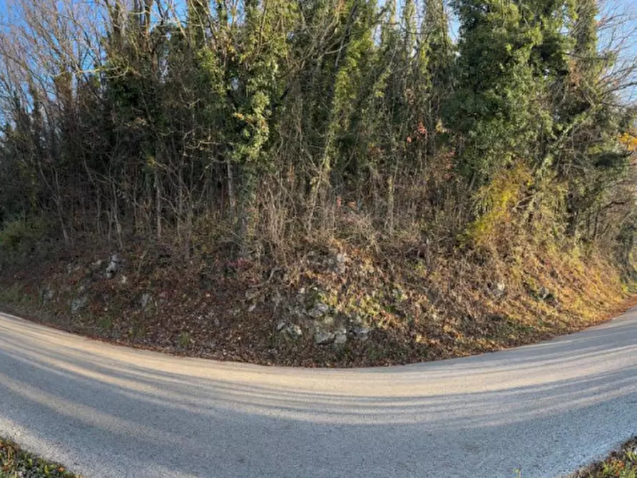 Immagine 9 di Terreno agricolo in vendita  in Via Tommasetto a Gambugliano