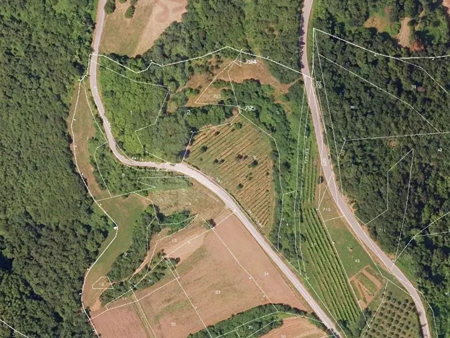 Immagine 17 di Terreno agricolo in vendita  in Via Tommasetto a Gambugliano