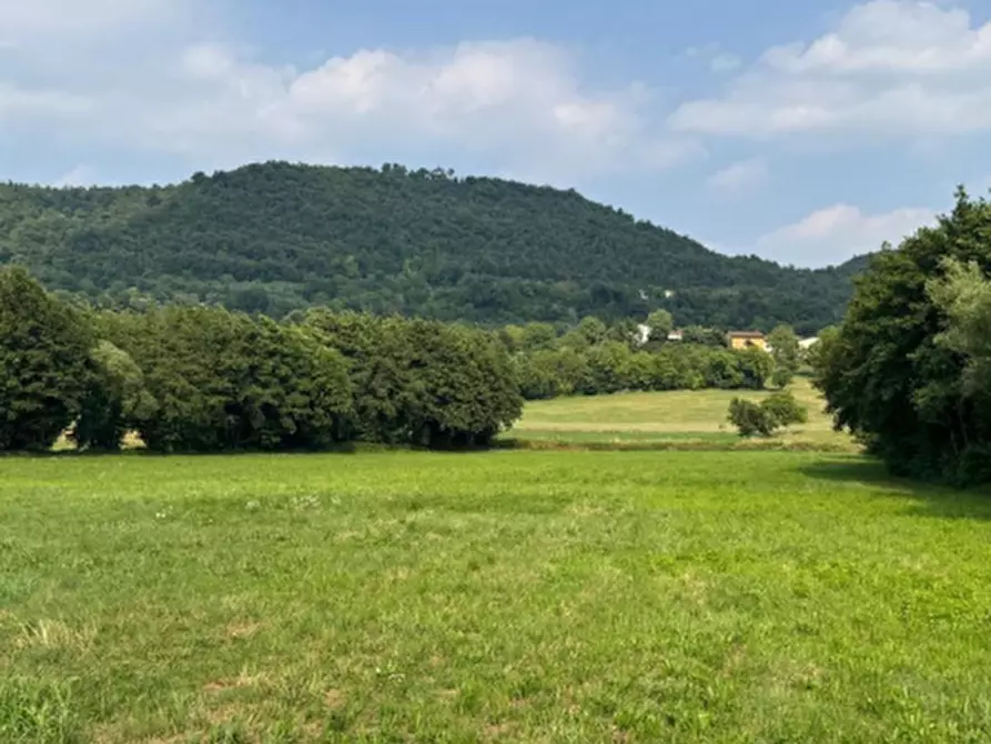 Immagine 2 di Terreno agricolo in vendita  in Via Regina Pacis a Castelgomberto