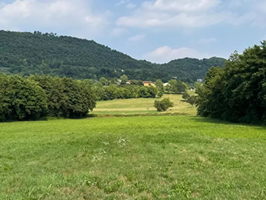 Immagine 3 di Terreno agricolo in vendita  in Via Regina Pacis a Castelgomberto