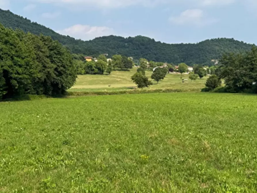 Immagine 6 di Terreno agricolo in vendita  in Via Regina Pacis a Castelgomberto