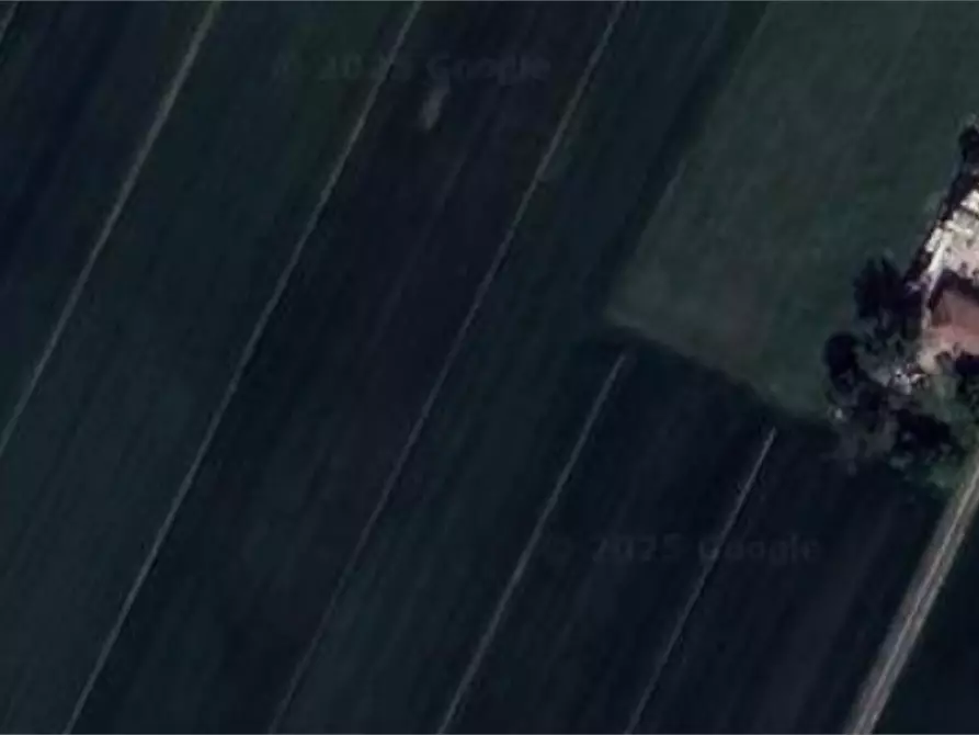 Immagine 8 di Capannone industriale in vendita  in Via Paradosso a Bagnacavallo