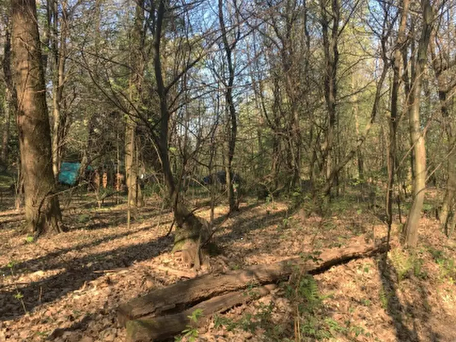 Immagine 2 di Terreno agricolo in vendita  in Via degli Alpini a Lipomo