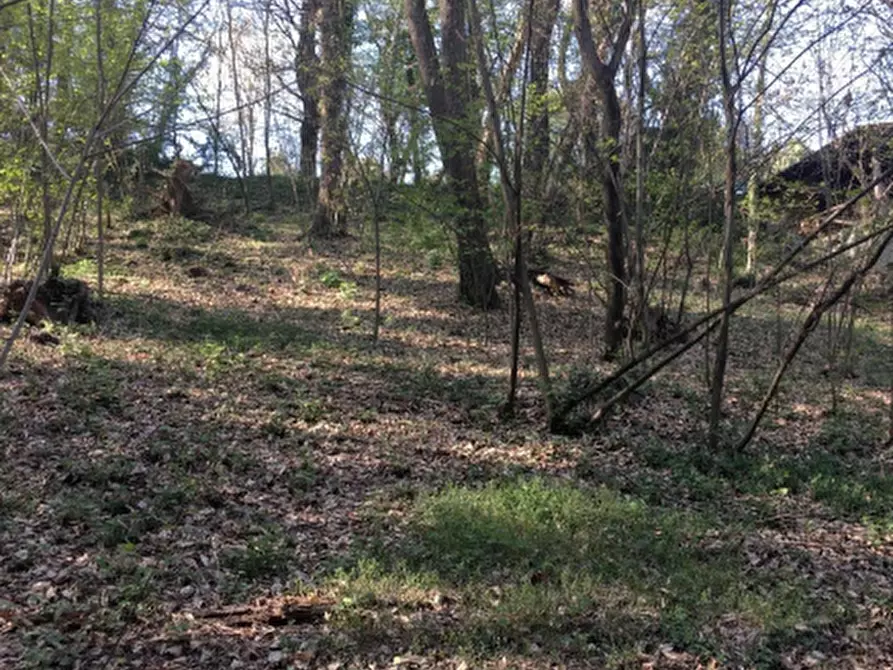 Immagine 1 di Terreno agricolo in vendita  in Via degli Alpini a Lipomo